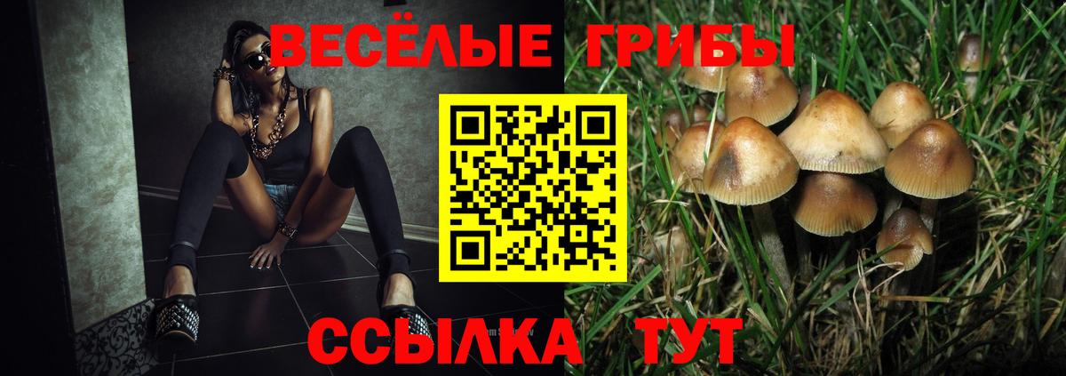 Псилоцибиновые грибы Cubensis  Псилоцибиновые грибы Cubensis  Зеленогорск  Вход с VPN 